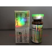 Barıes Testosterone Enanthate 300mg 10ml